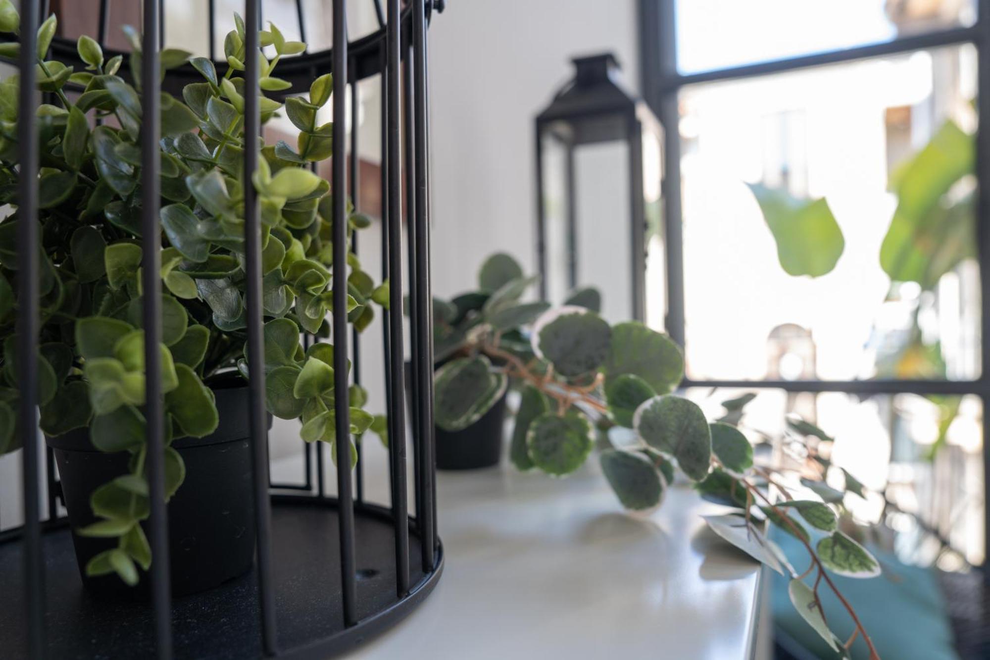 Mirone - Suite Apartments Catania Centro מראה חיצוני תמונה
